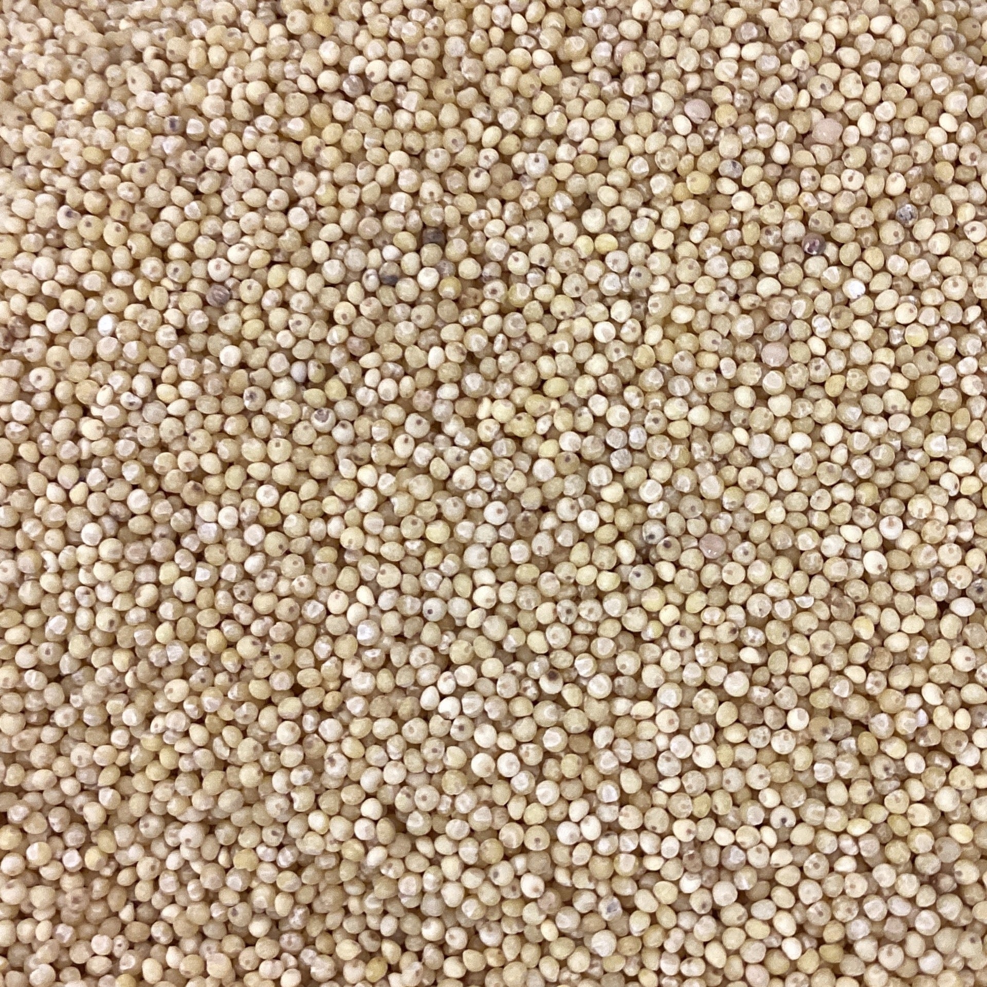 Millet Organic (1) Live Free Refillery Millet Organic (1) Live Free Refillery